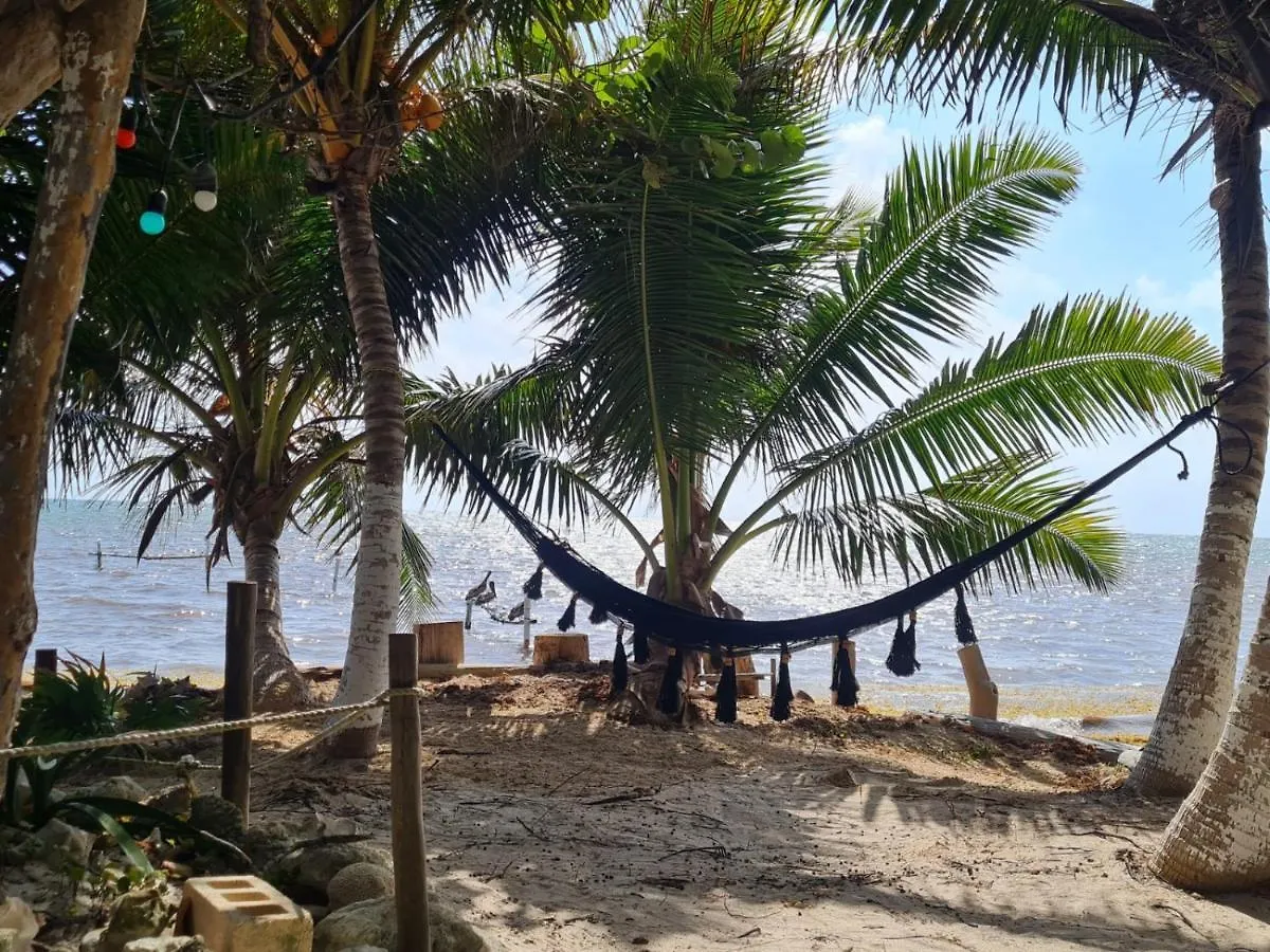 Hotel Maya Luna Adults Only Mahahual
