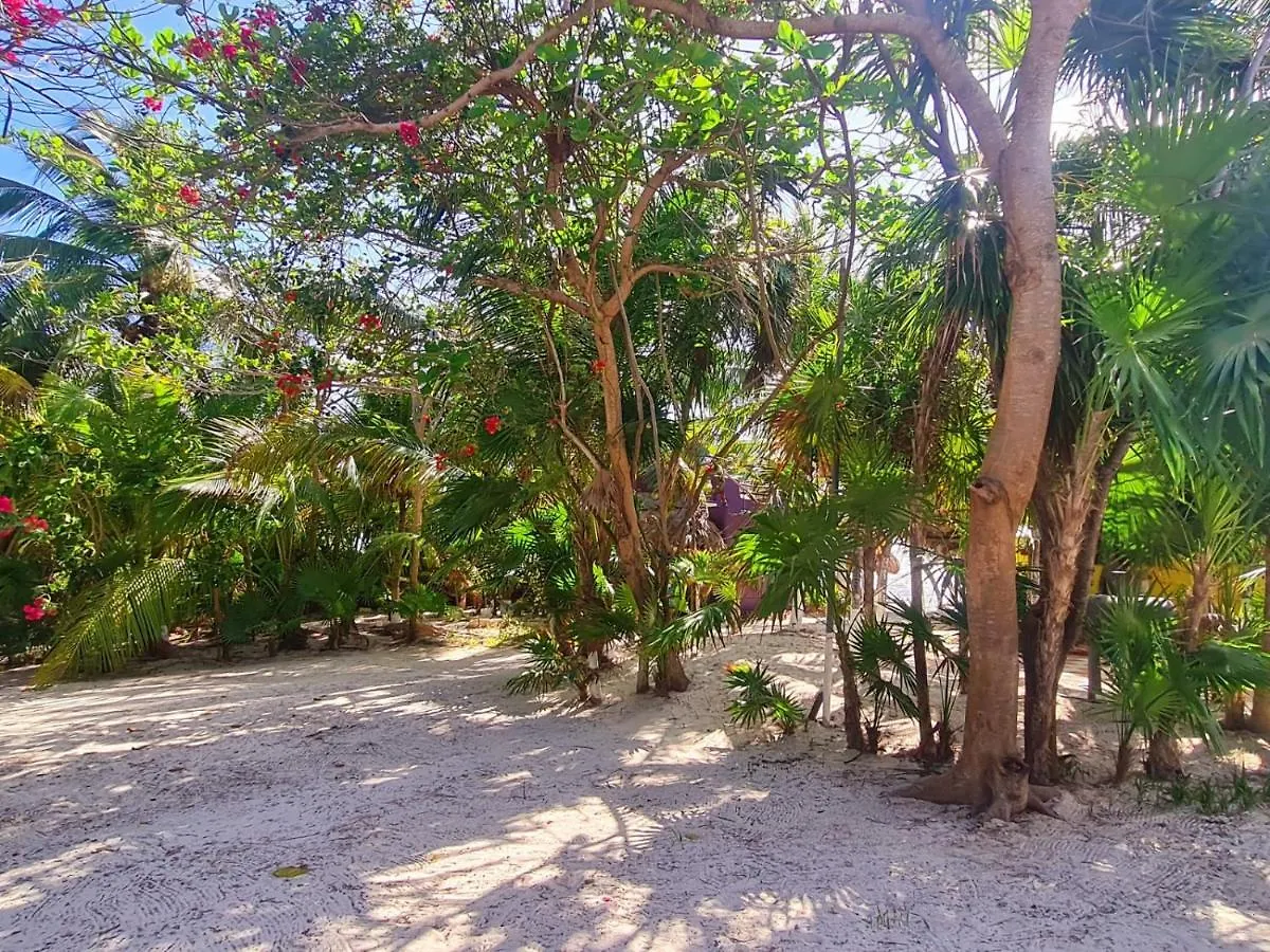 Hotel Maya Luna Adults Only Mahahual